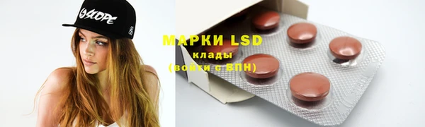 молекула духа Пересвет