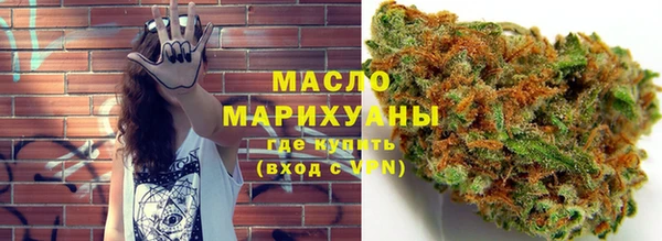 молекула духа Пересвет
