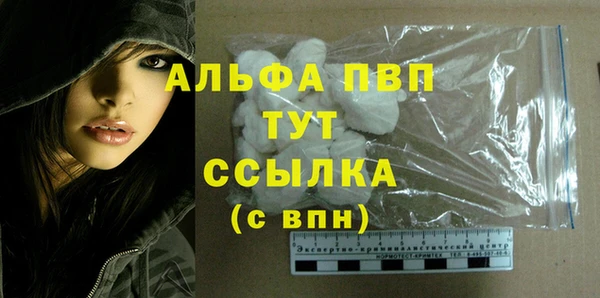 молекула духа Пересвет
